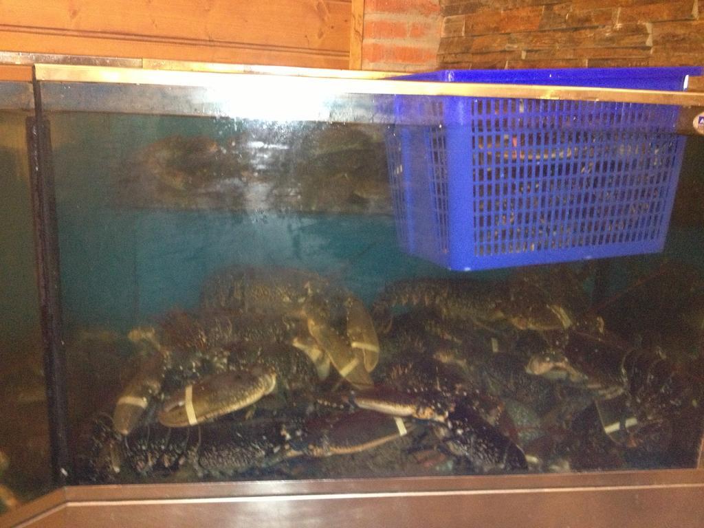 Hosteria San Emeterio Isla Plana 外观 照片