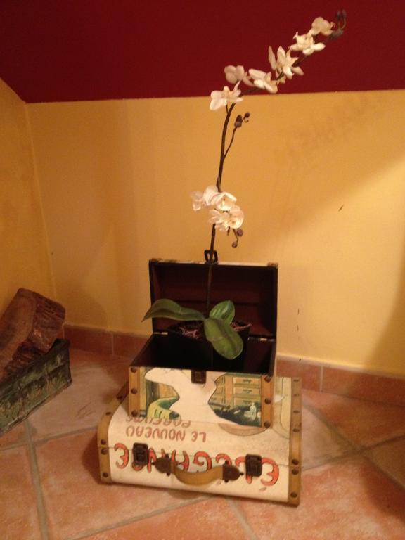 Hosteria San Emeterio Isla Plana 外观 照片